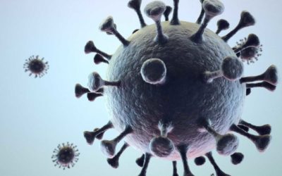 Better Outfitted and Screened Viral Vectors Are Safer and More Effective